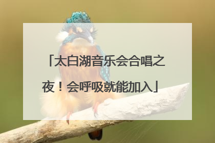 太白湖音乐会合唱之夜！会呼吸就能加入