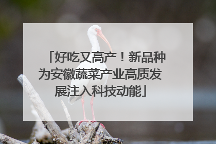 好吃又高产！新品种为安徽蔬菜产业高质发展注入科技动能