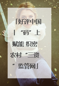 好评中国丨“码”上赋能 织密农村“三资”监管网