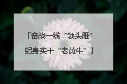 奋战一线“领头雁” 躬身实干“老黄牛”