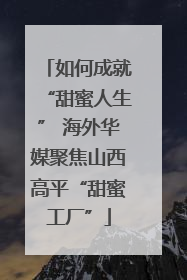 如何成就“甜蜜人生” 海外华媒聚焦山西高平“甜蜜工厂”