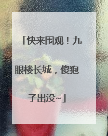 快来围观！九眼楼长城，傻狍子出没~