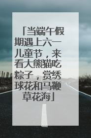 当端午假期遇上六一儿童节，来看大熊猫吃粽子，赏绣球花和马鞭草花海