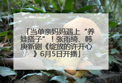 当单亲妈妈遇上“养娃搭子”！张雨绮、韩庚新剧《绽放的许开心》6月5日开播