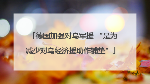 德国加强对乌军援 “是为减少对乌经济援助作铺垫”