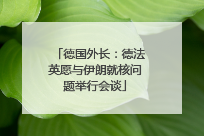 德国外长：德法英愿与伊朗就核问题举行会谈