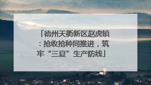 德州天衢新区赵虎镇：抢收抢种同推进，筑牢“三夏”生产防线