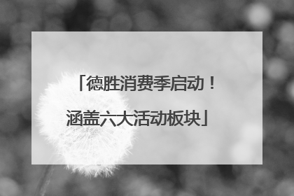 德胜消费季启动！涵盖六大活动板块