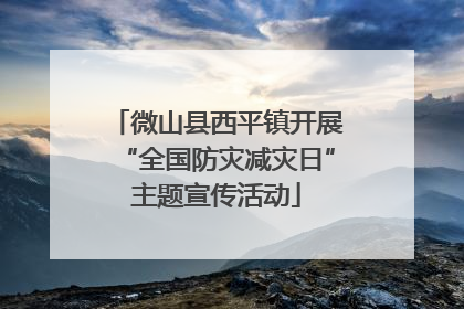 微山县西平镇开展“全国防灾减灾日”主题宣传活动