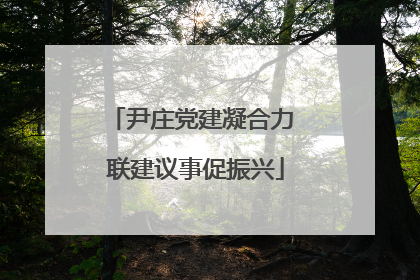 尹庄党建凝合力 联建议事促振兴