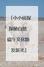 小小侦探探秘自然 端午文化焕发新光