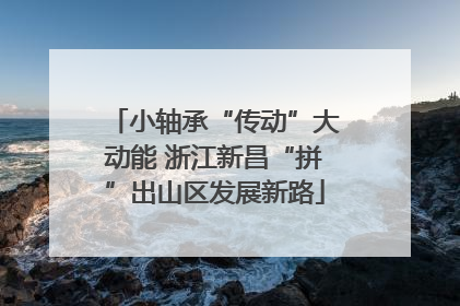 小轴承“传动”大动能 浙江新昌“拼”出山区发展新路