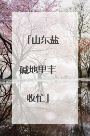 山东盐碱地里丰收忙
