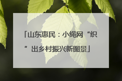 山东惠民：小绳网“织”出乡村振兴新图景