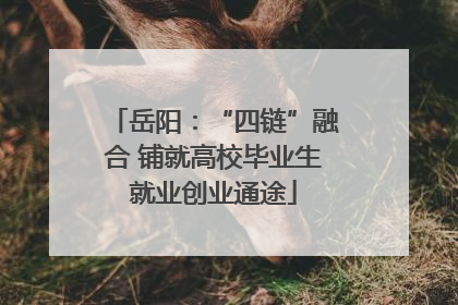 岳阳：“四链”融合 铺就高校毕业生就业创业通途