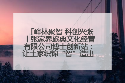 峰林聚智 科创兴张丨张家界旅典文化经营有限公司博士创新站：让土家织锦“智”造出非遗新传奇