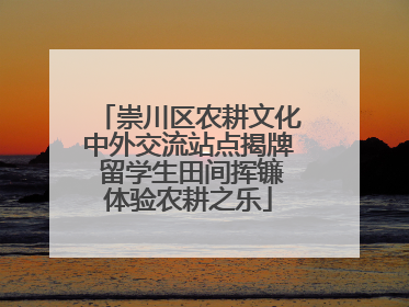 崇川区农耕文化中外交流站点揭牌 留学生田间挥镰体验农耕之乐