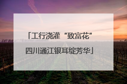 工行浇灌“致富花” 四川通江银耳绽芳华