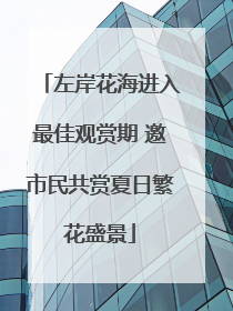 左岸花海进入最佳观赏期 邀市民共赏夏日繁花盛景