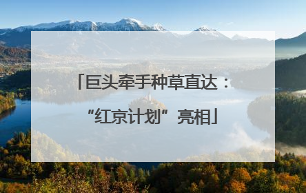 巨头牵手种草直达：“红京计划”亮相