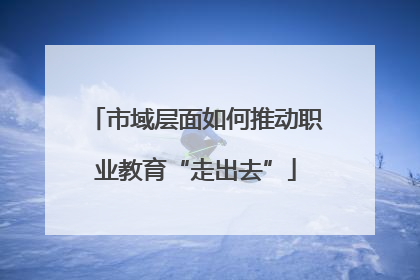市域层面如何推动职业教育“走出去”