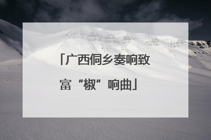 广西侗乡奏响致富“椒”响曲