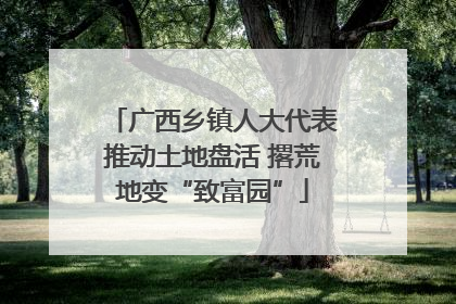 广西乡镇人大代表推动土地盘活 撂荒地变“致富园”