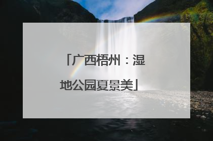广西梧州：湿地公园夏景美