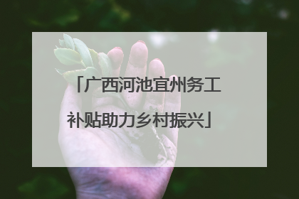 广西河池宜州务工补贴助力乡村振兴