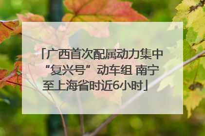 广西首次配属动力集中“复兴号”动车组 南宁至上海省时近6小时