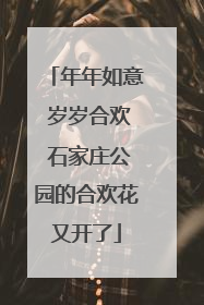年年如意 岁岁合欢 石家庄公园的合欢花又开了