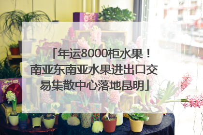 年运8000柜水果！南亚东南亚水果进出口交易集散中心落地昆明