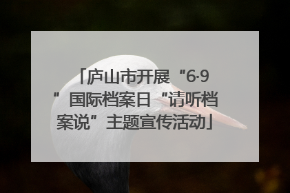 庐山市开展“6·9”国际档案日“请听档案说”主题宣传活动