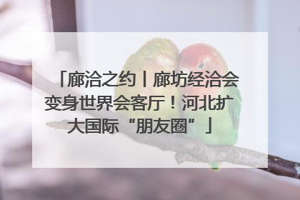 廊洽之约丨廊坊经洽会变身世界会客厅！河北扩大国际“朋友圈”
