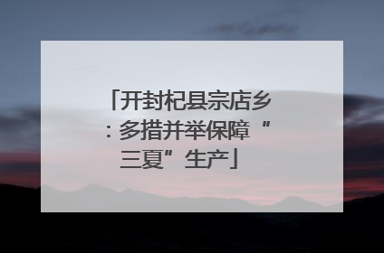 开封杞县宗店乡：多措并举保障“三夏”生产