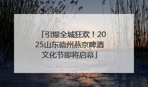 引爆全城狂欢！2025山东德州燕京啤酒文化节即将启幕
