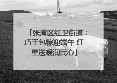张湾区红卫街道：巧手包粽迎端午 红星送暖润民心