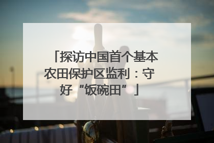 探访中国首个基本农田保护区监利：守好“饭碗田”
