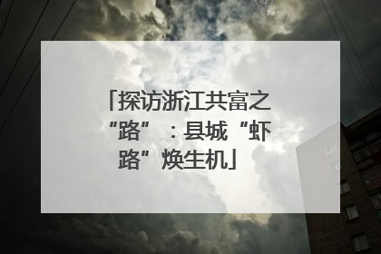 探访浙江共富之“路”：县城“虾路”焕生机