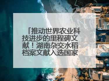 推动世界农业科技进步的里程碑文献！湖南杂交水稻档案文献入选国家级名录