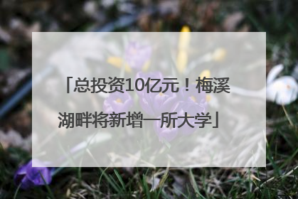 总投资10亿元！梅溪湖畔将新增一所大学