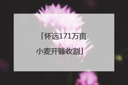 怀远171万亩小麦开镰收割