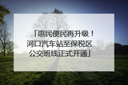 惠民便民再升级！河口汽车站至保税区公交班线正式开通