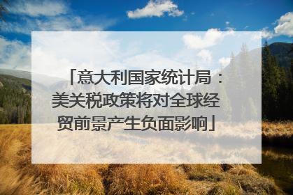 意大利国家统计局：美关税政策将对全球经贸前景产生负面影响
