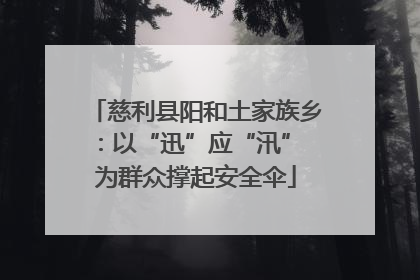 慈利县阳和土家族乡：以“迅”应“汛” 为群众撑起安全伞