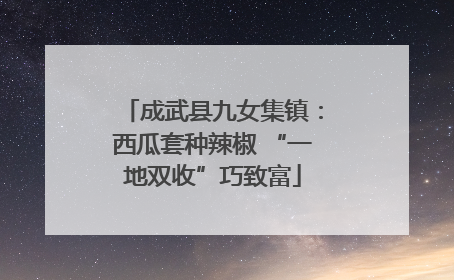 成武县九女集镇：西瓜套种辣椒 “一地双收”巧致富