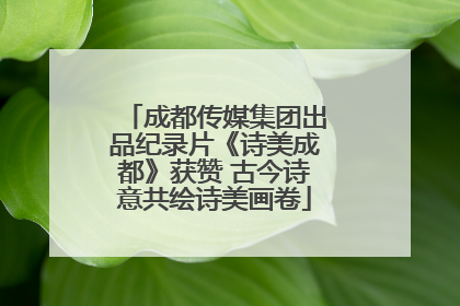 成都传媒集团出品纪录片《诗美成都》获赞 古今诗意共绘诗美画卷
