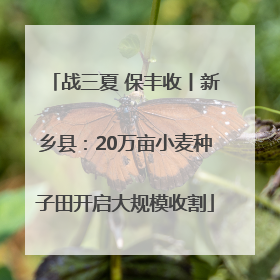 战三夏 保丰收丨新乡县：20万亩小麦种子田开启大规模收割