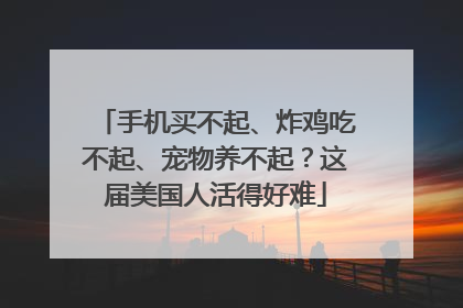 手机买不起、炸鸡吃不起、宠物养不起？这届美国人活得好难