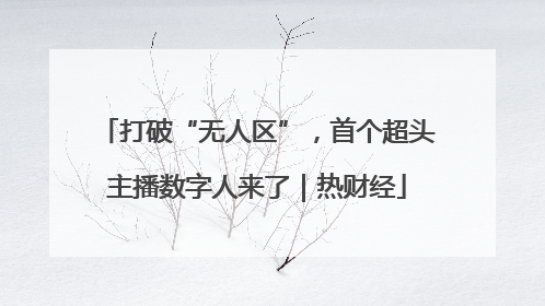 打破“无人区”，首个超头主播数字人来了｜热财经